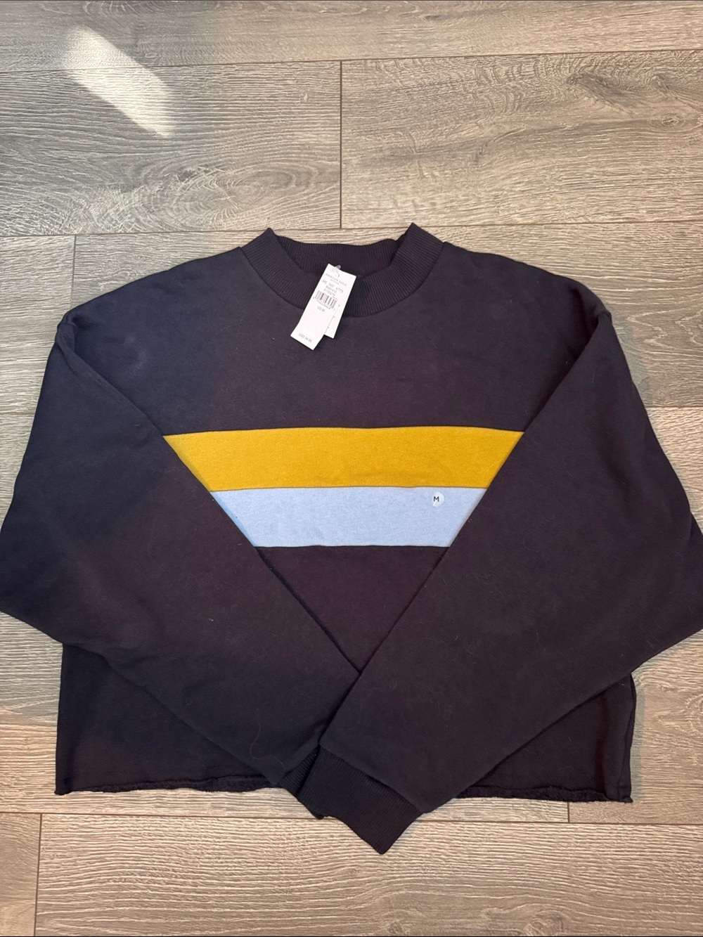 American Eagle Cropped Sweatshirt with Yellow and Light Blue Stripe